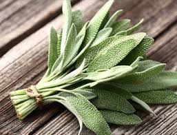 Rollo Salvia Blanca