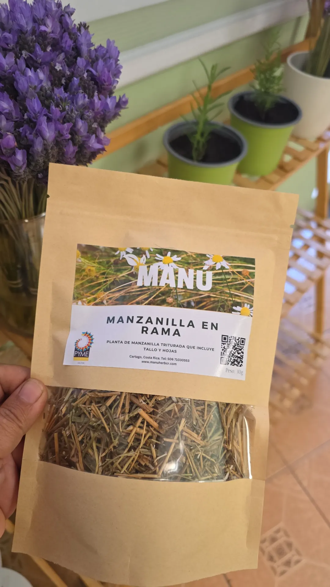 Manzanilla en rama paquete