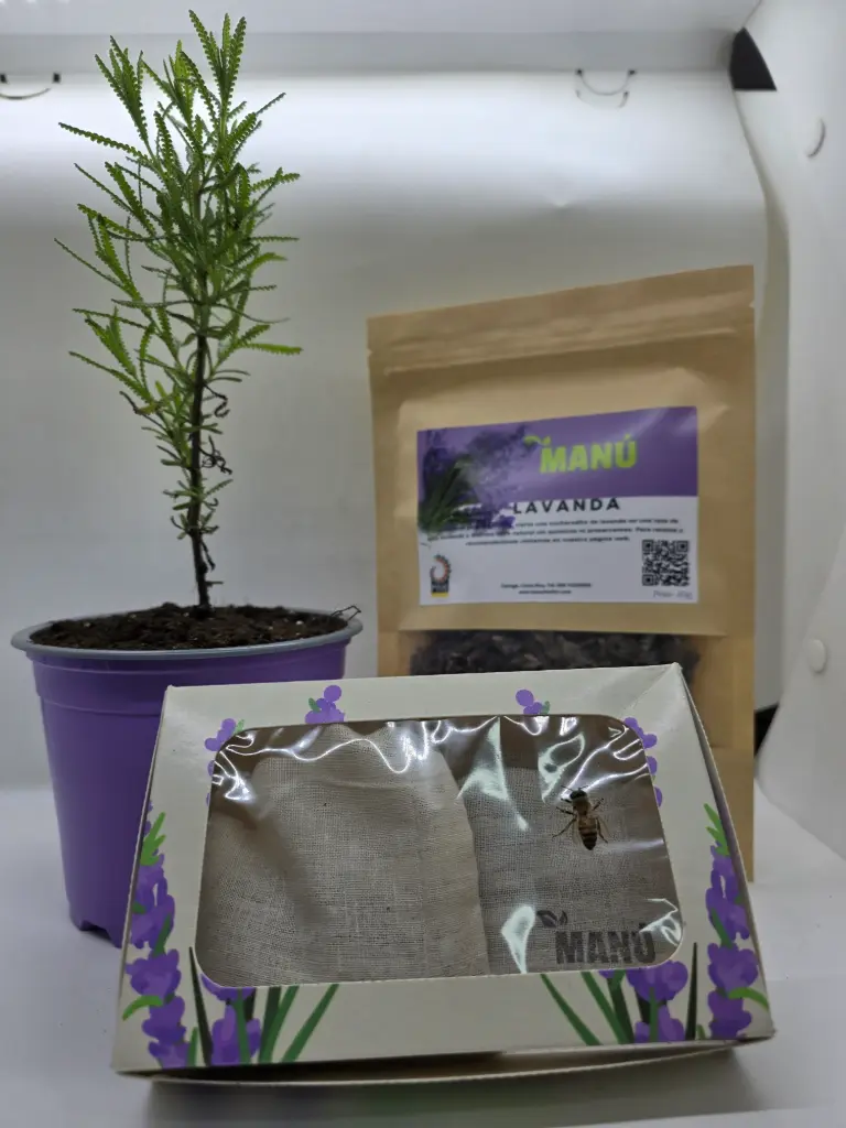 COMBO HOGAR AROMATICO