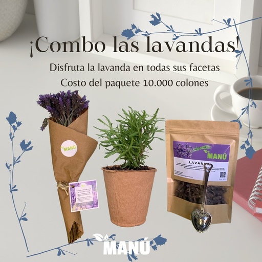 Combo 1 lavanda