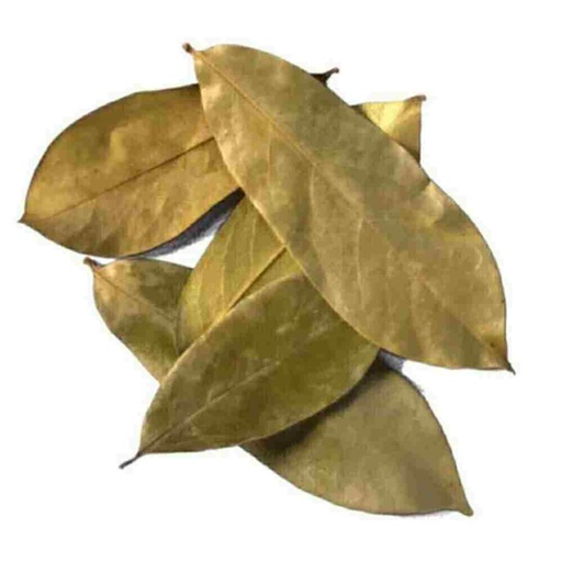 Hojas de guanabana paquete